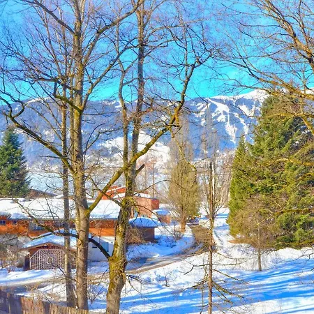 Lägenhet Chalet Cara By Alpen Zell am See